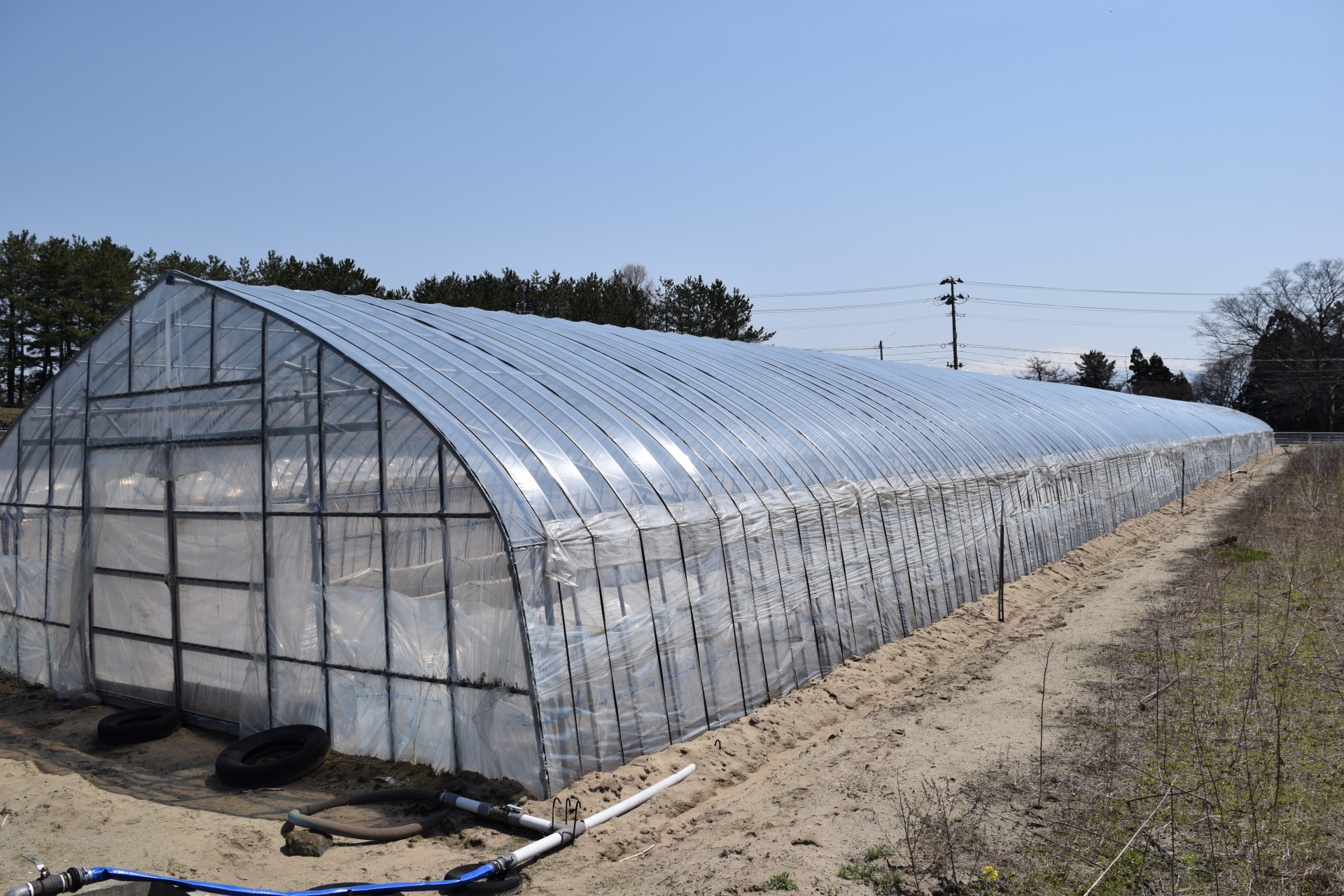 Agriculture